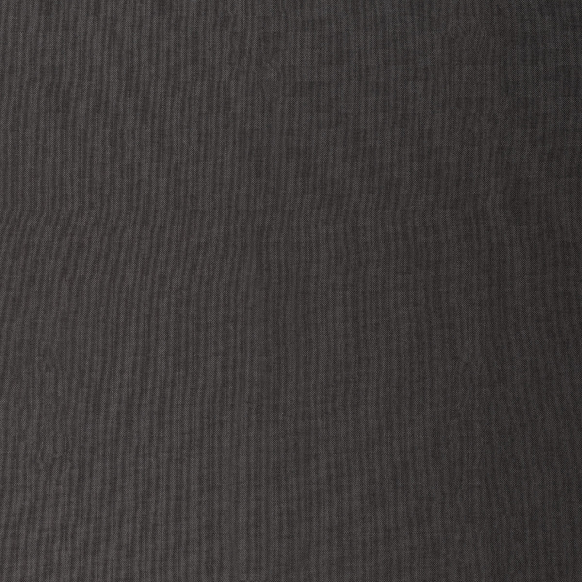 schnubsibu- 080821-000789-calvin-canvas-40 -