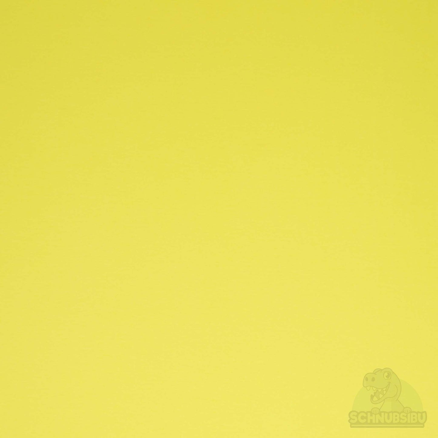 schnubsibu- 081837-000111-heike-fs23-buendchen-40 -