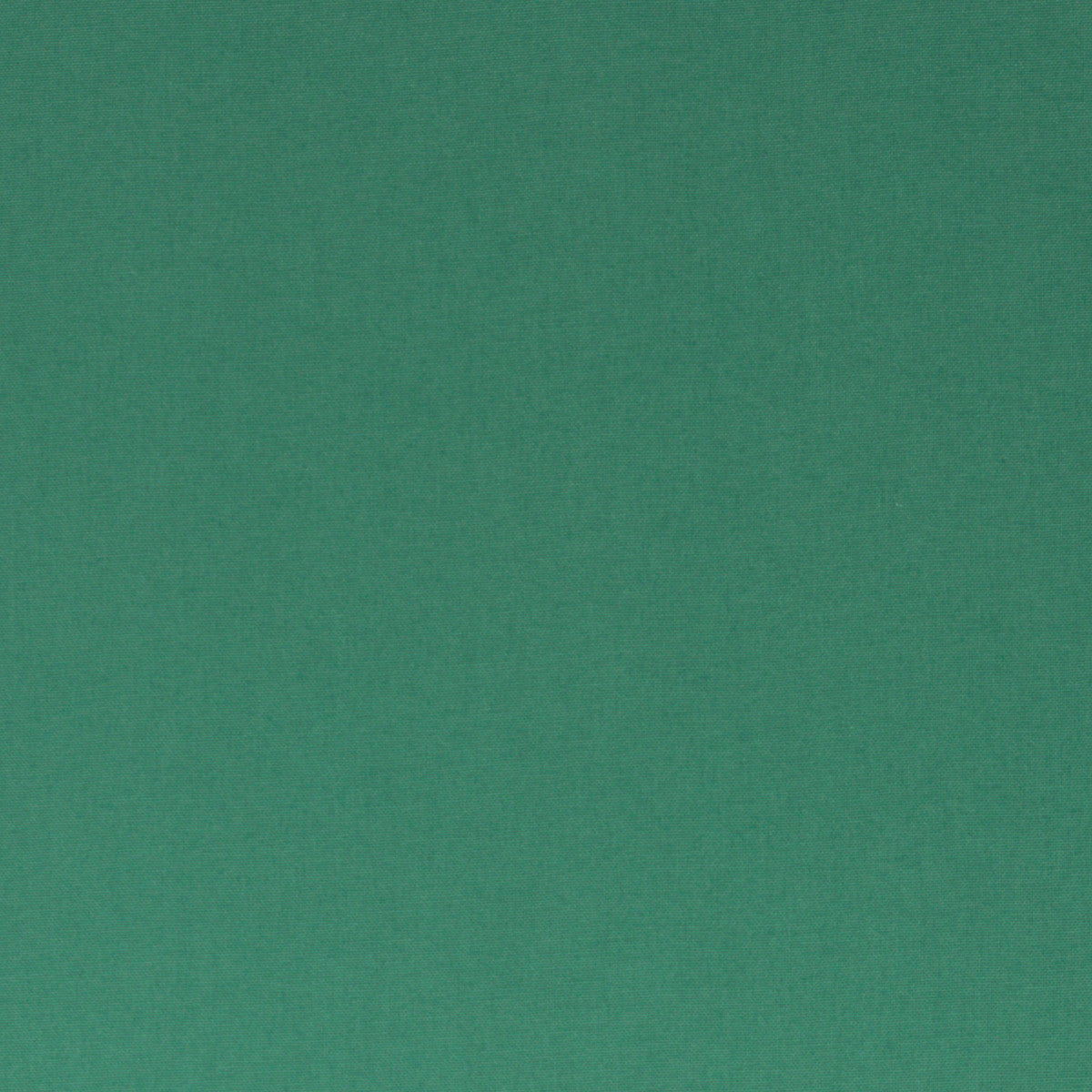 schnubsibu- 080821-000266-calvin-baumwollwebware-40 -