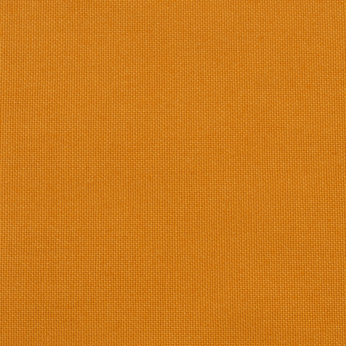 schnubsibu- 080821-000315-calvin-canvas-10 -