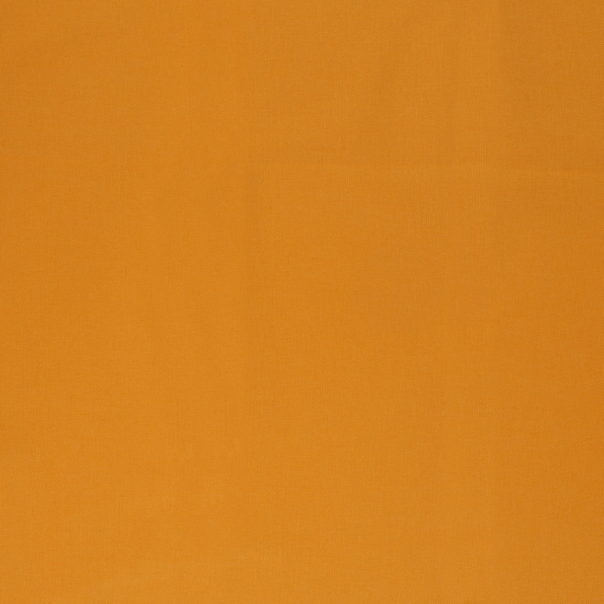 schnubsibu- 080821-000315-calvin-canvas-40 -