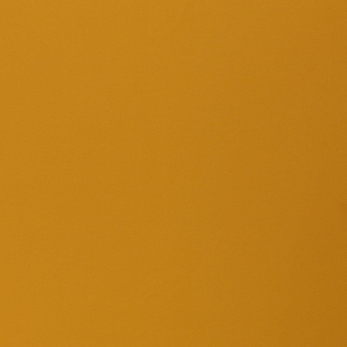 schnubsibu- 081322-000313-jenny-softshell-40 -