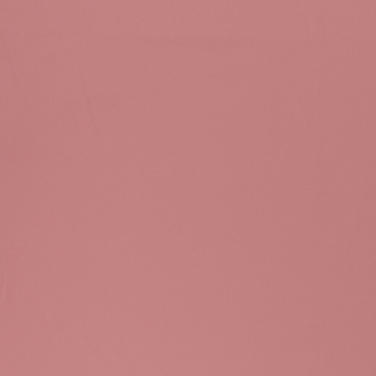 schnubsibu- 081322-000435-jenny-softshell-40 -