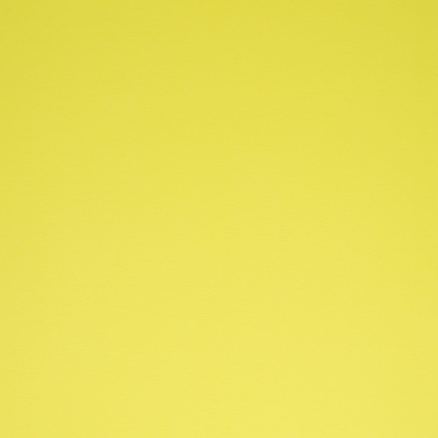 schnubsibu- 081837-000111-heike-fs23-buendchen-40 -