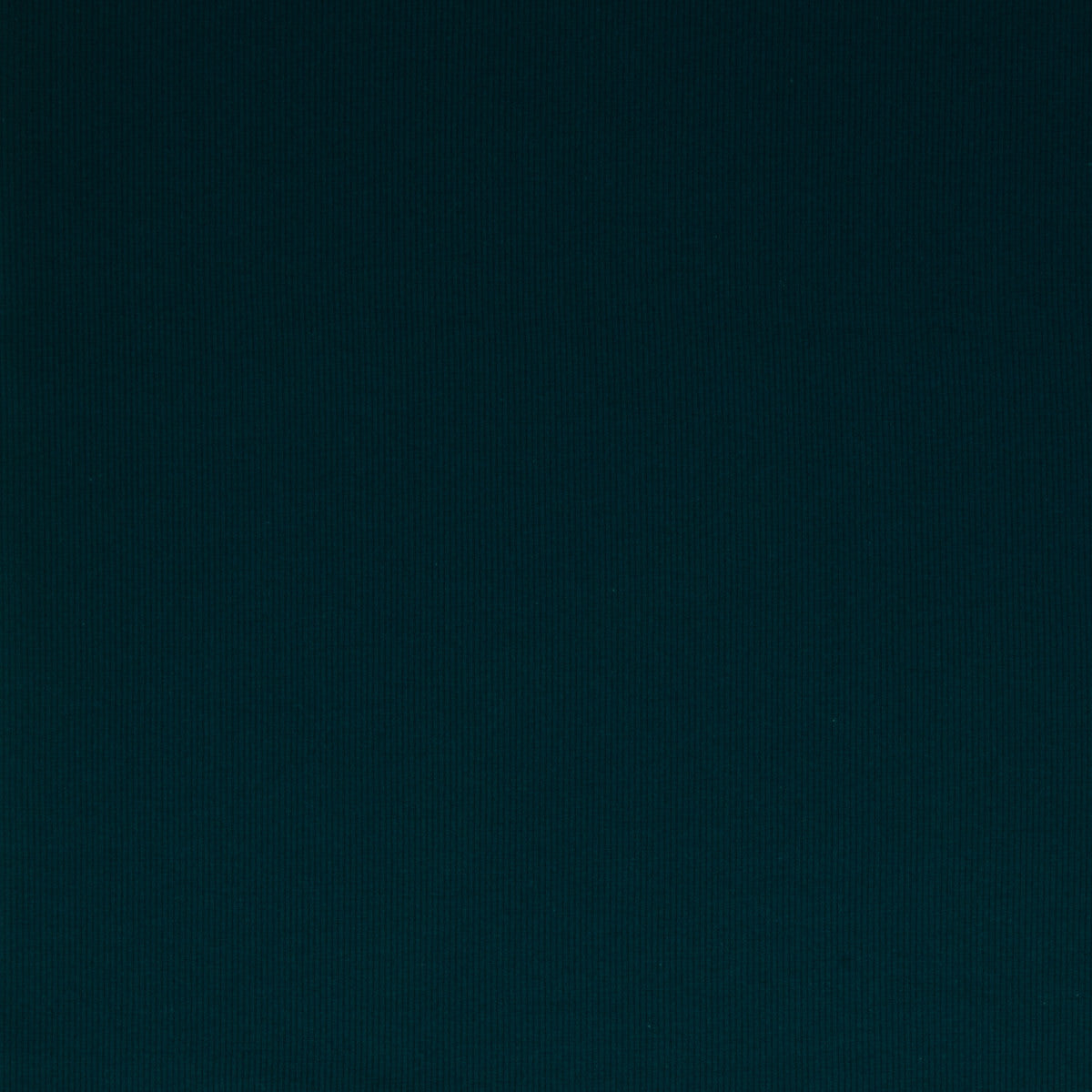 schnubsibu- 081919-000750-tessa-rippbuendchen-40 -