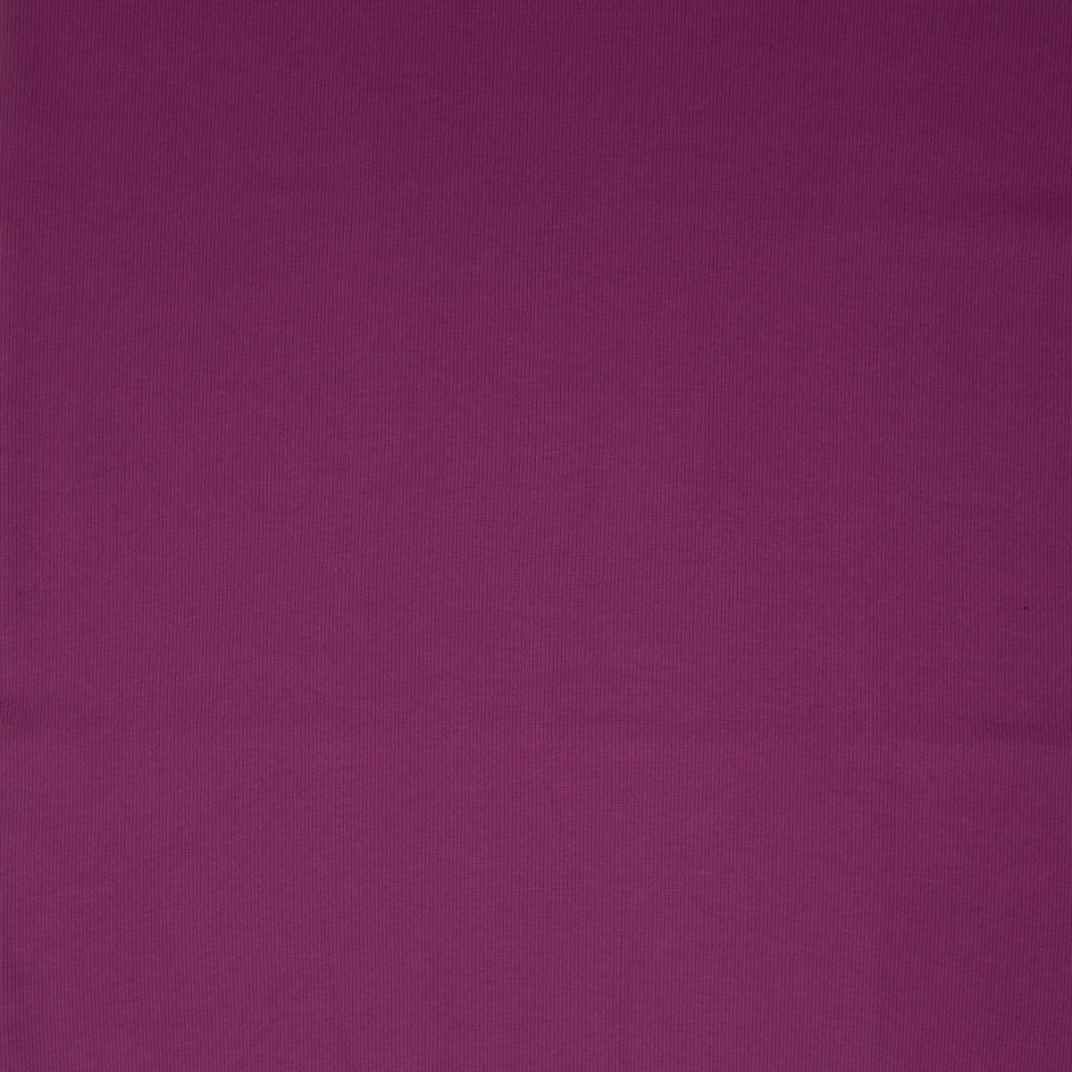 schnubsibu- 081919-000933-tessa-rippbuendchen-40 -