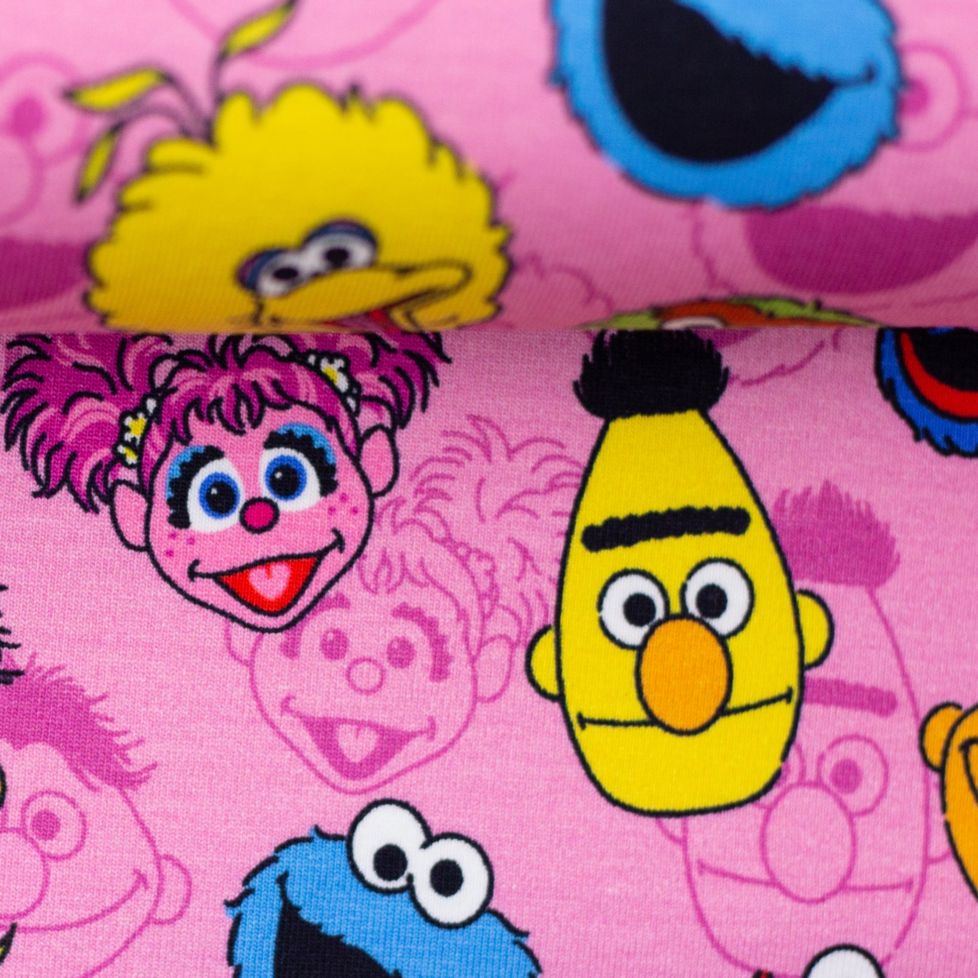 schnubsibu- 081946-995432-sesamstrasse-baumwolljersey-ballen -