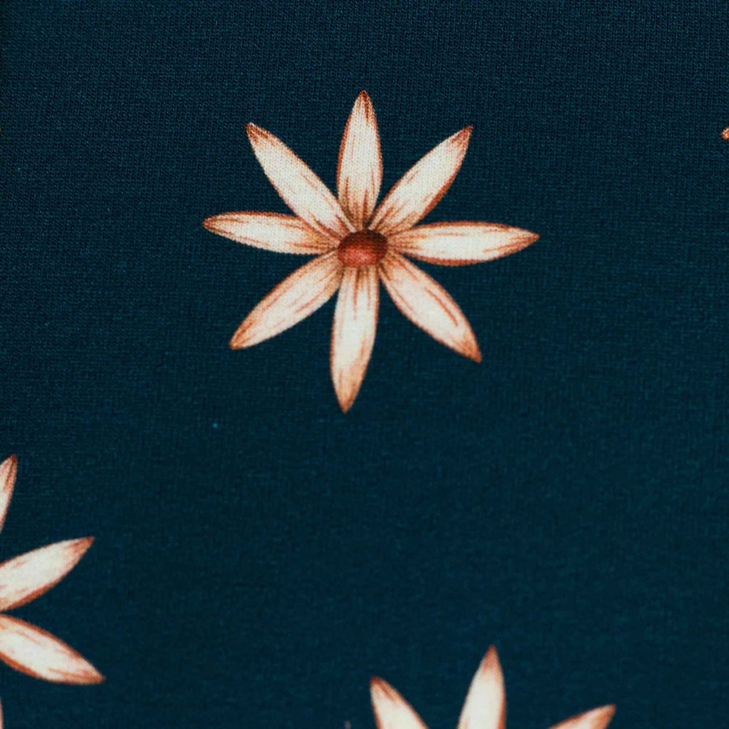 schnubsibu- 082209-100749-autumnmeadows-frenchterry-10 -