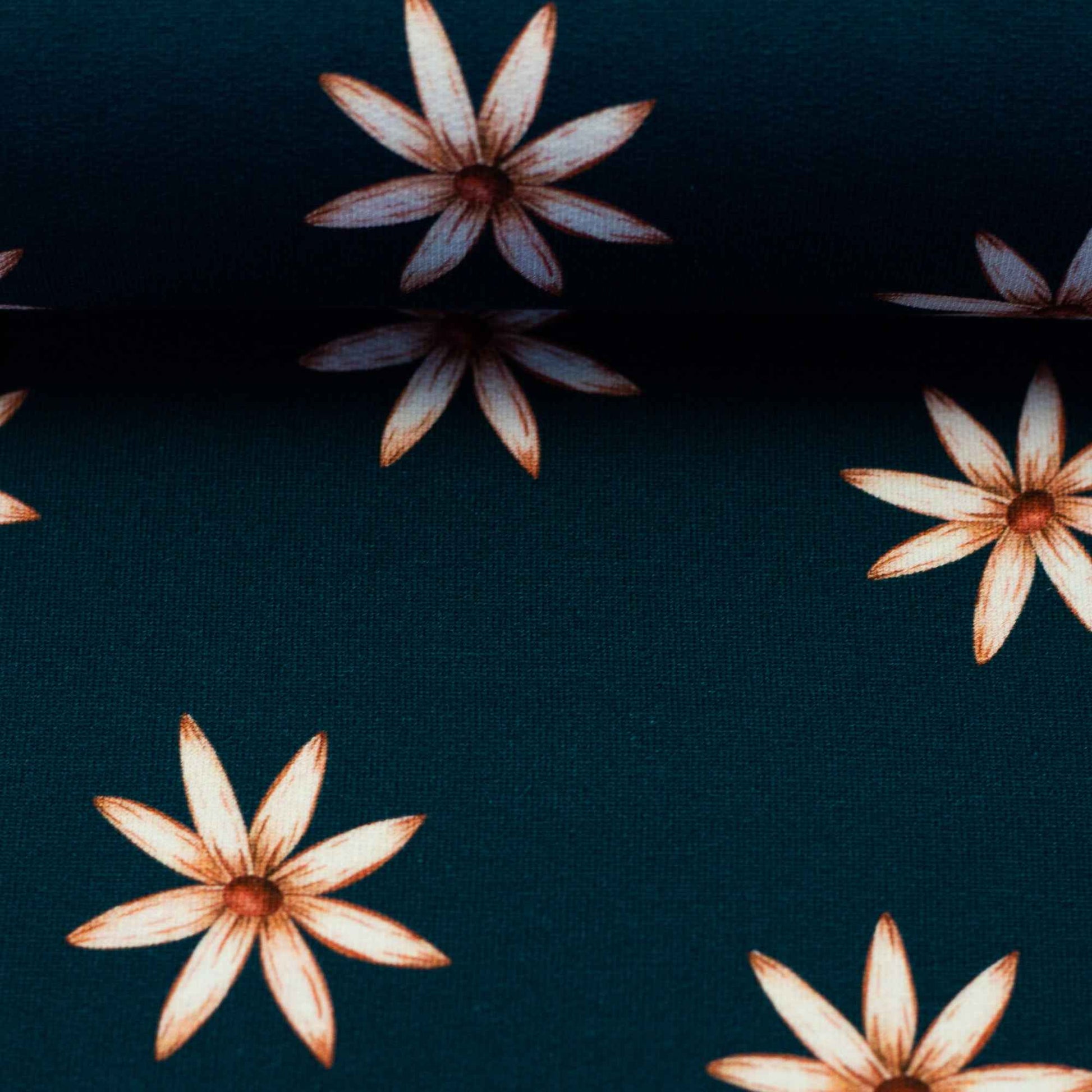 schnubsibu- 082209-100749-autumnmeadows-frenchterry-ballen -