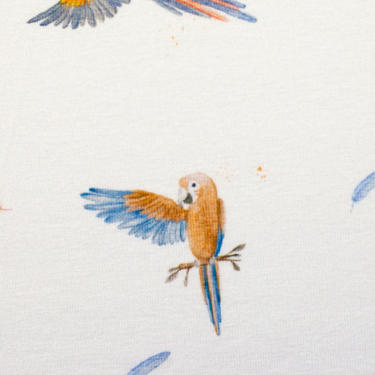 schnubsibu- 082299-400010-wildanimals-christianezilinski-10 -