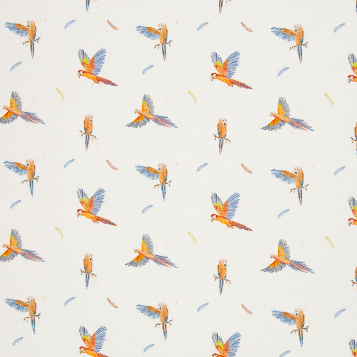 schnubsibu- 082299-400010-wildanimals-christianezilinski-40 -