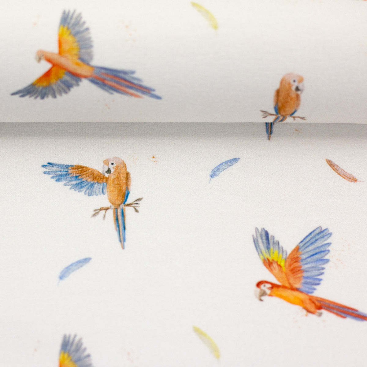 schnubsibu- 082299-400010-wildanimals-christianezilinski-ballen -