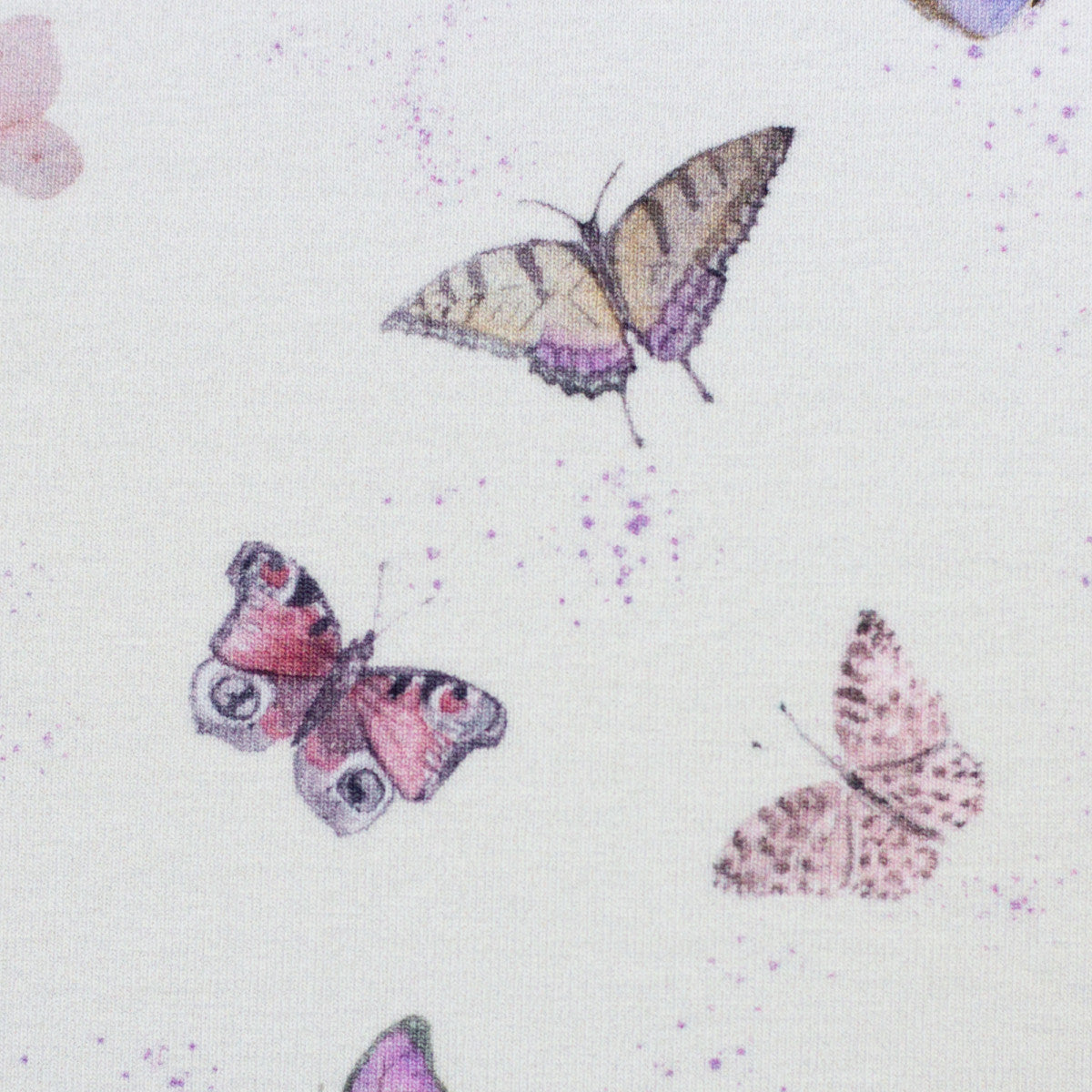 schnubsibu- 082299-500010-wildanimals-christianezilinski-10 -