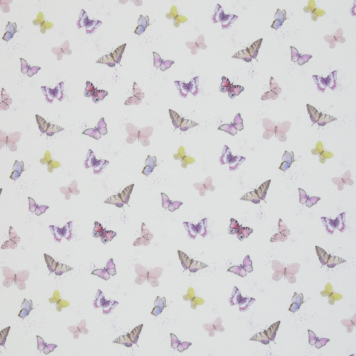 schnubsibu- 082299-500010-wildanimals-christianezilinski-40 -