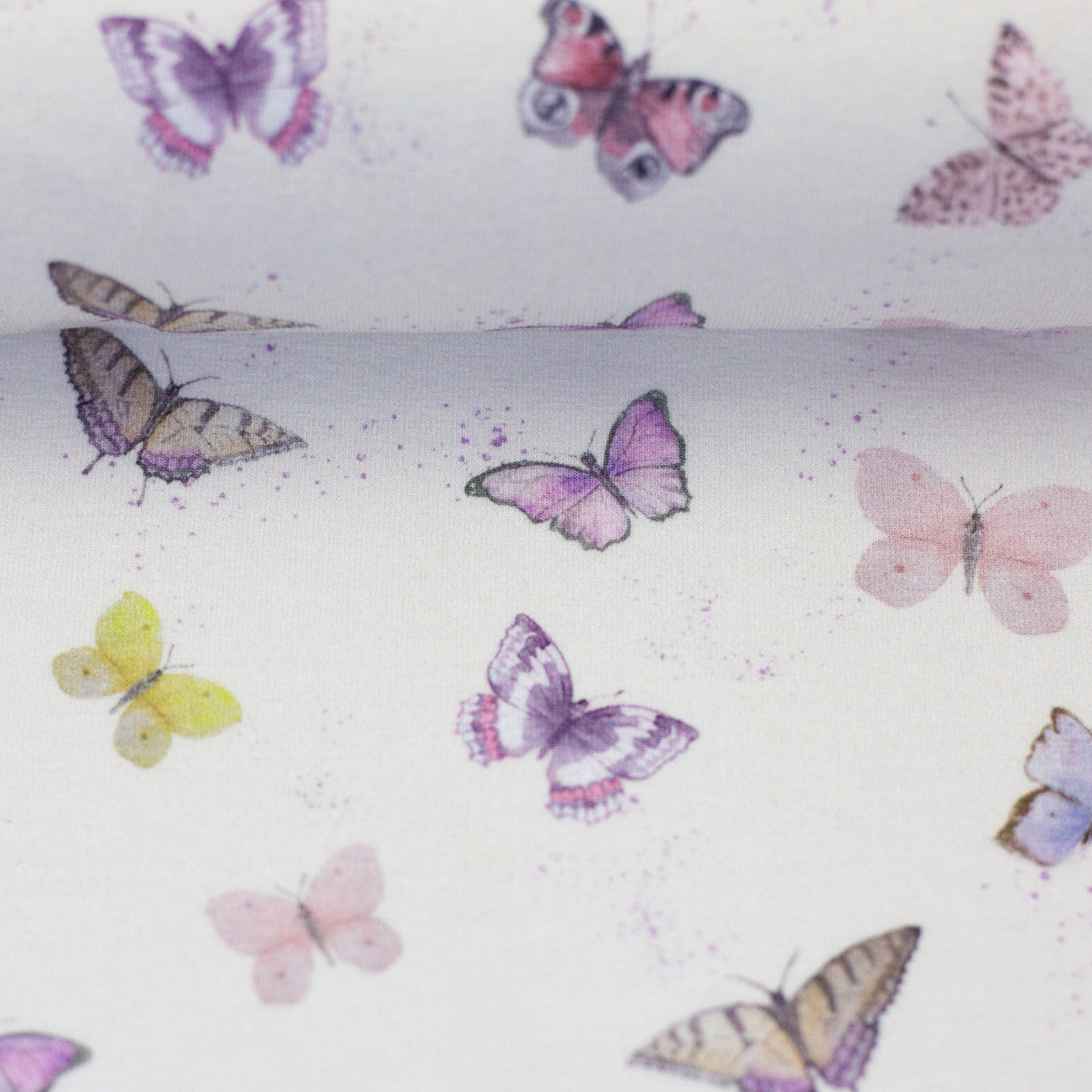 schnubsibu- 082299-500010-wildanimals-christianezilinski-ballen -