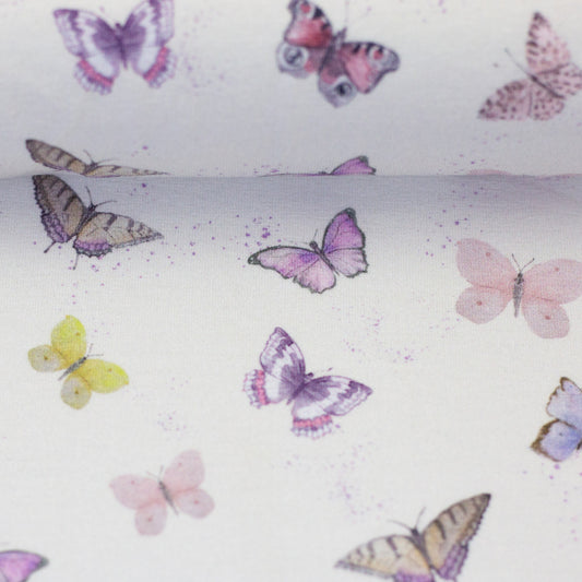 schnubsibu- 082299-500010-wildanimals-christianezilinski-ballen -