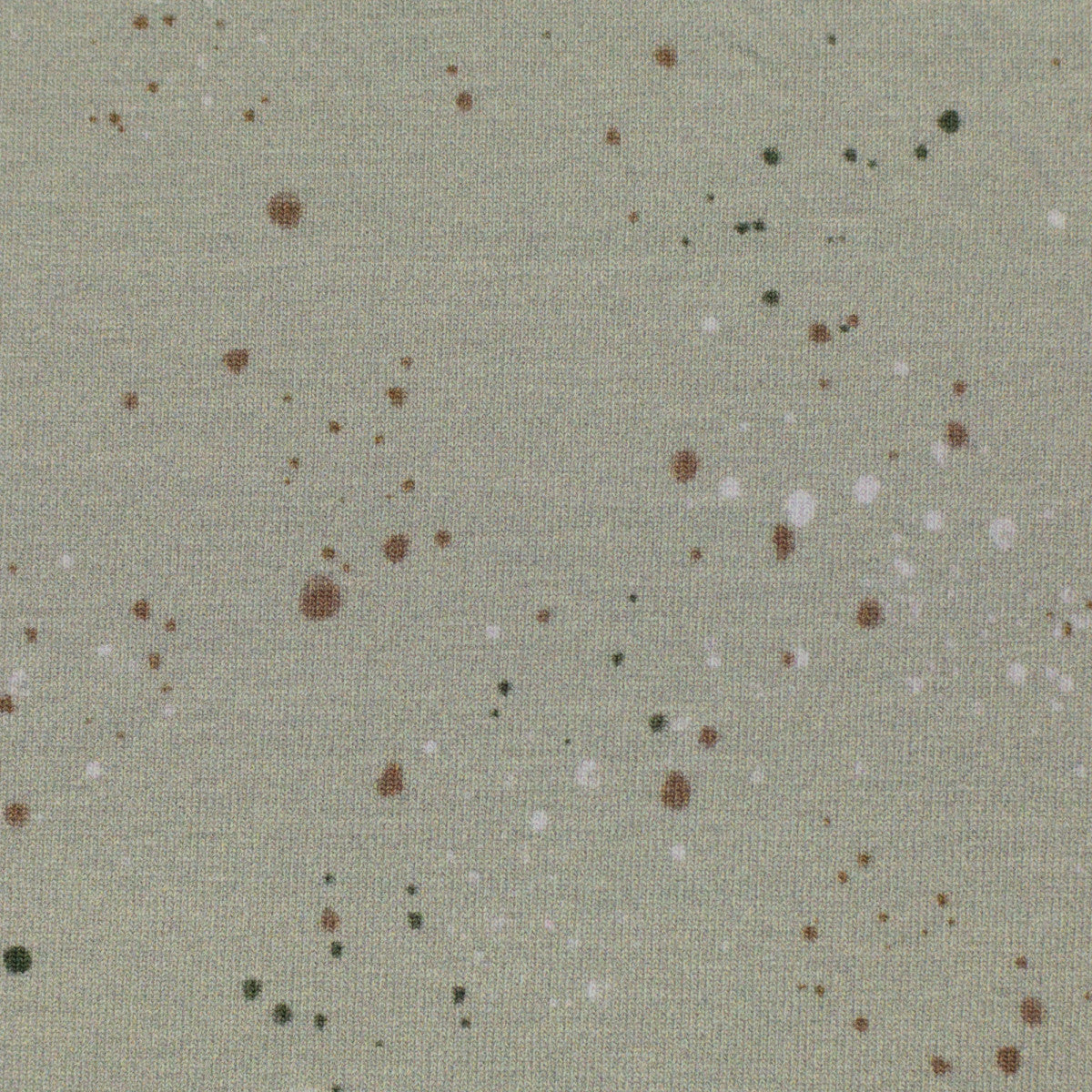 schnubsibu- 082299-600761-wildanimals-christianezilinski-10 -