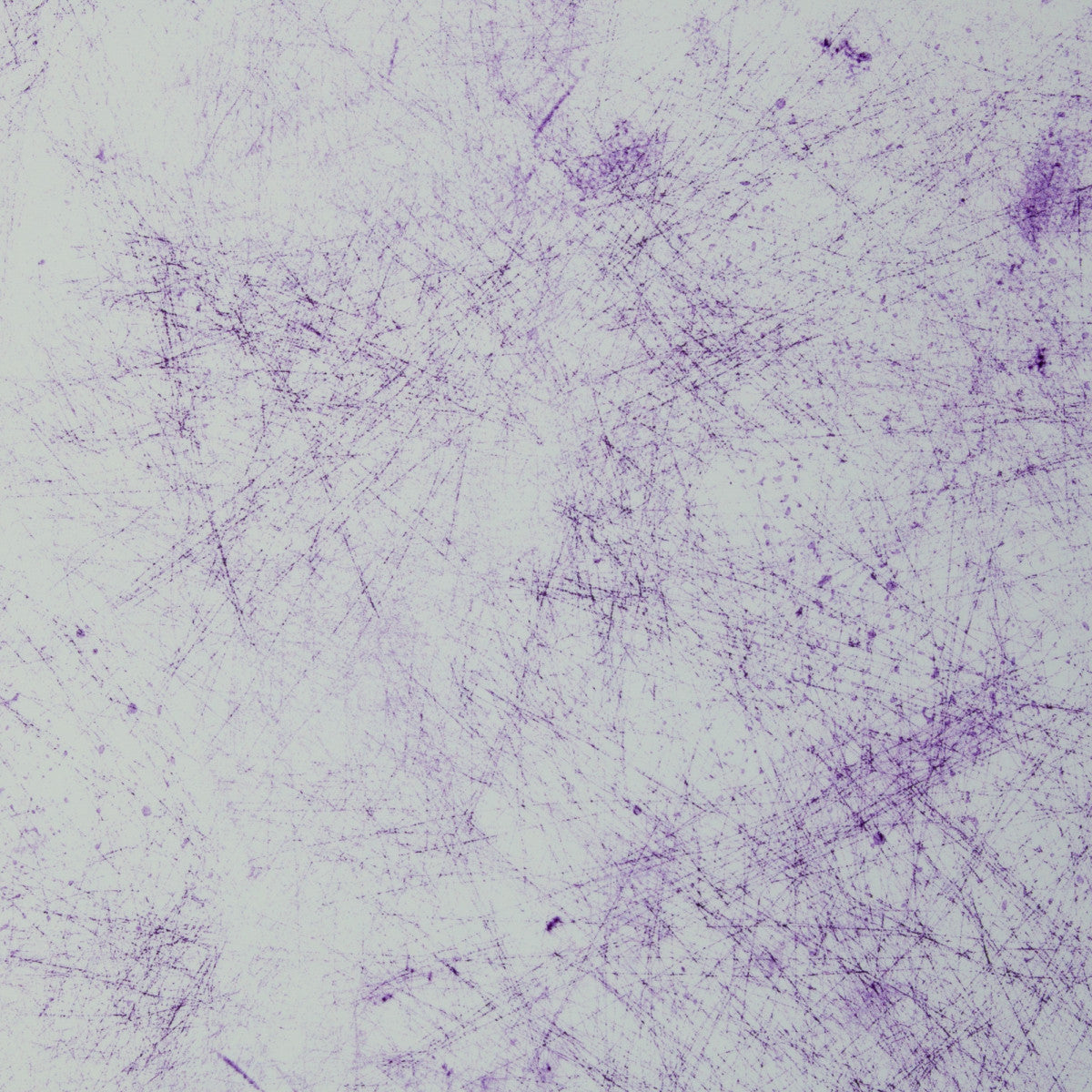 schnubsibu- 082312-473643-breeze-thorstenberger-40-2 -