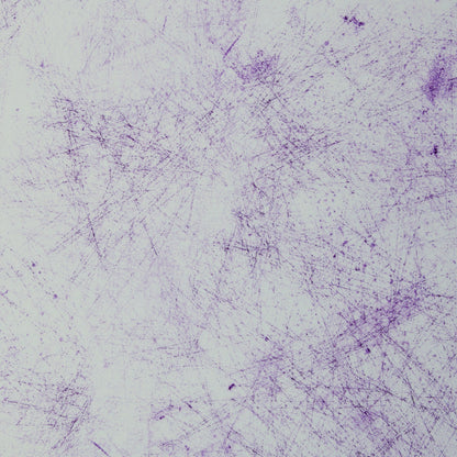 schnubsibu- 082312-473643-breeze-thorstenberger-40-2 -