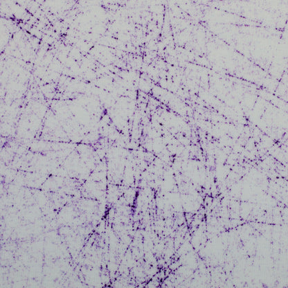 schnubsibu- 082312-476643-breeze-thorstenberger-10 -