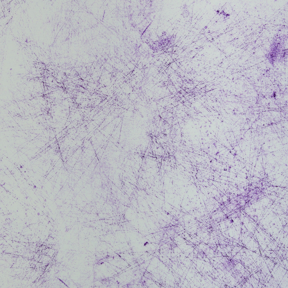 schnubsibu- 082312-476643-breeze-thorstenberger-40 -