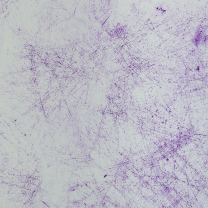 schnubsibu- 082312-476643-breeze-thorstenberger-40 -