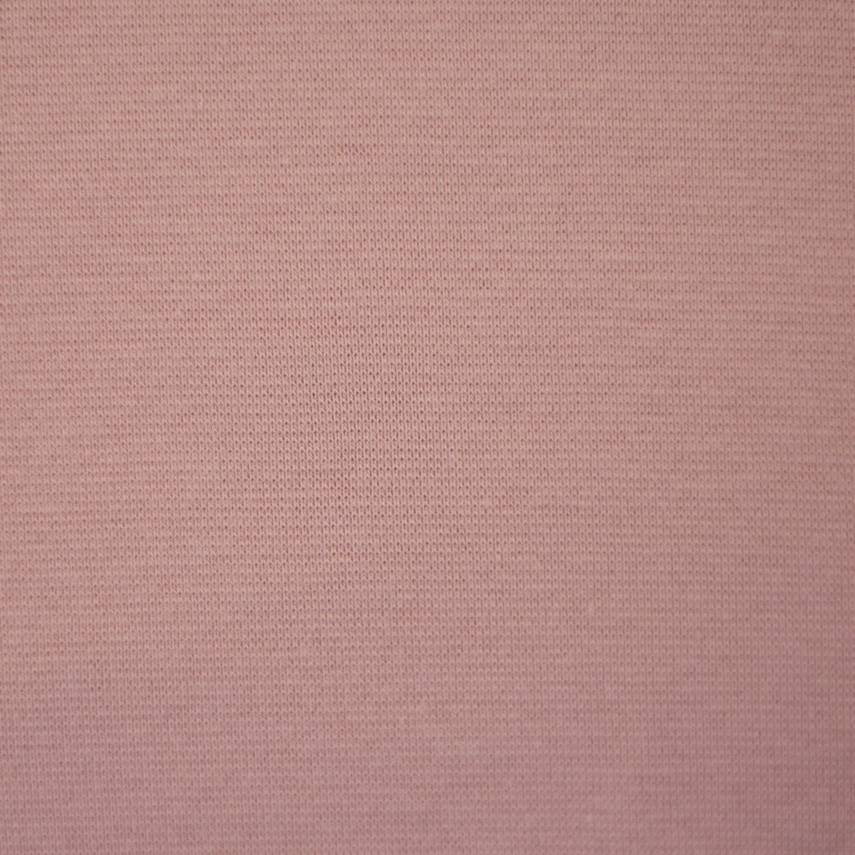 schnubsibu- 082319-000432-heike-buendchen-10 -