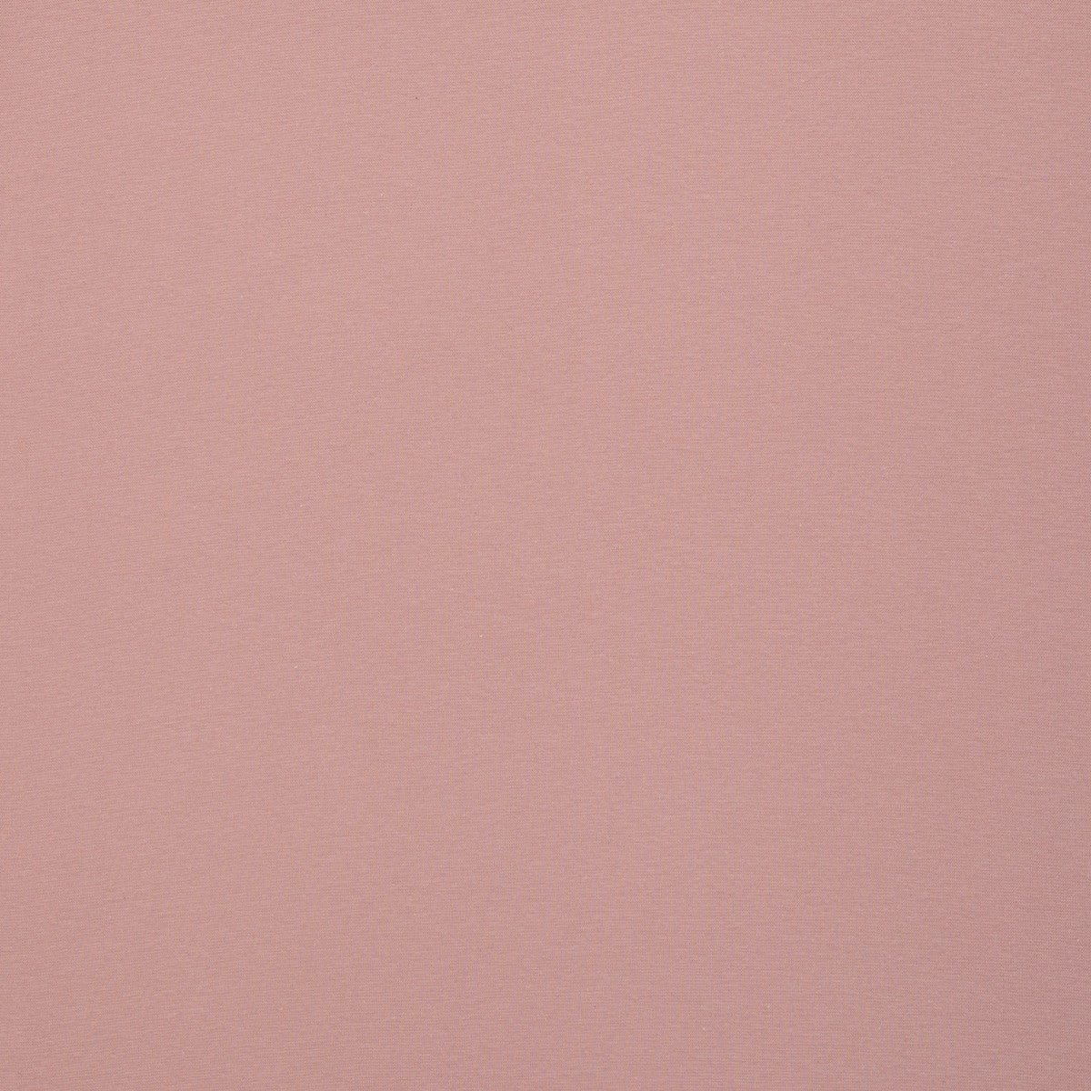 schnubsibu- 082319-000432-heike-buendchen-40 -