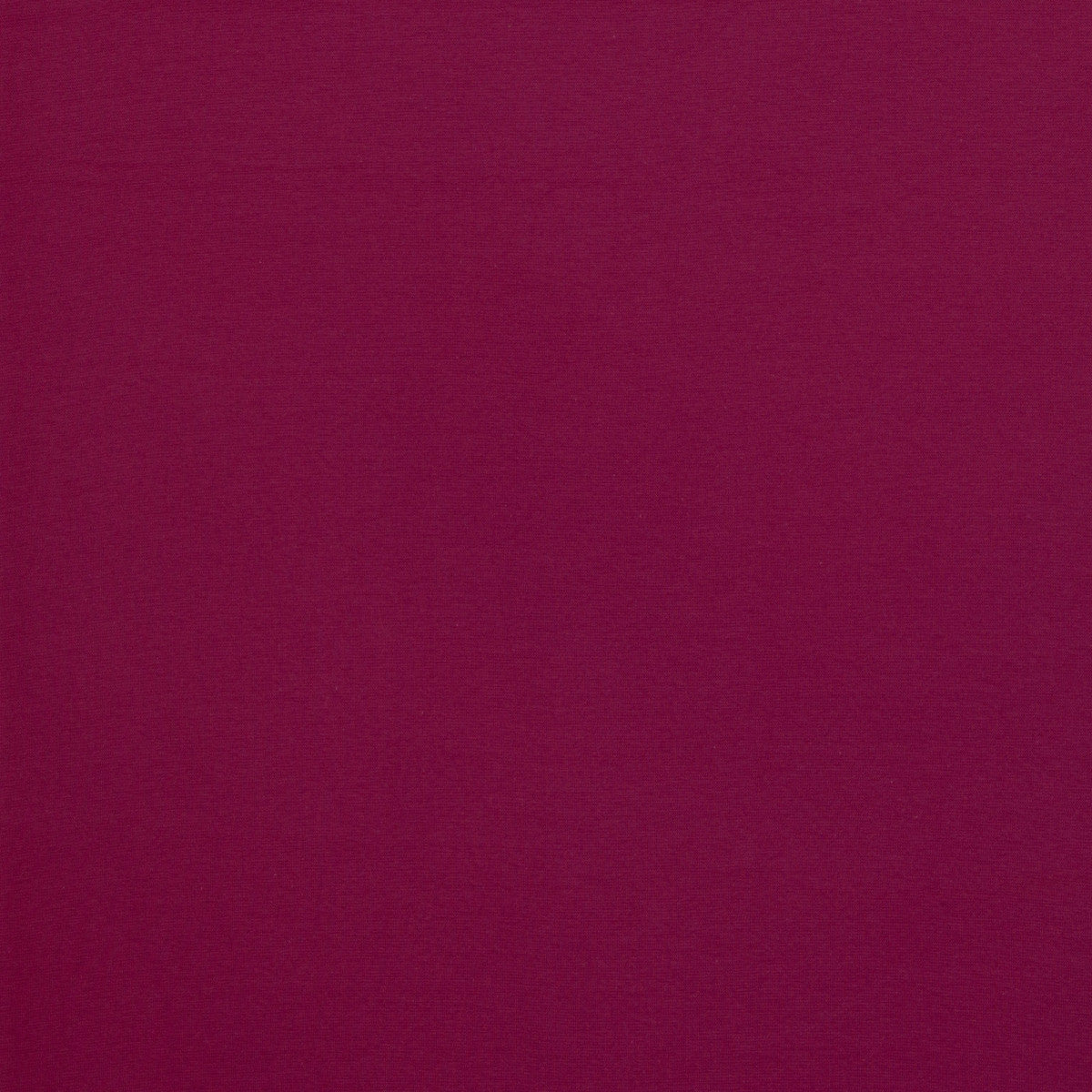 schnubsibu- 082319-000934-heike-buendchen-40 -