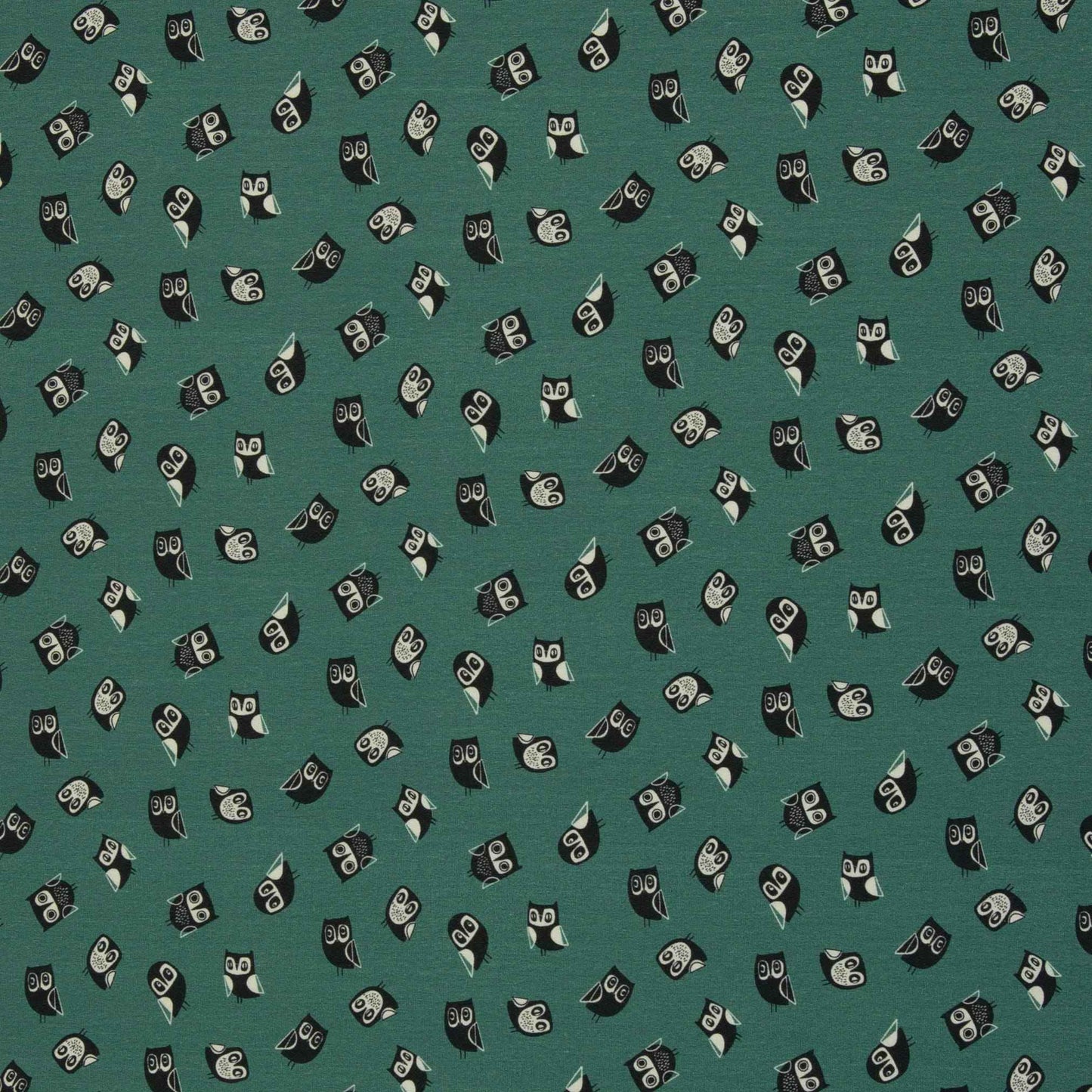 schnubsibu- 082468-100266-woohooowls-jersey-bienvenidocolorido-40 -