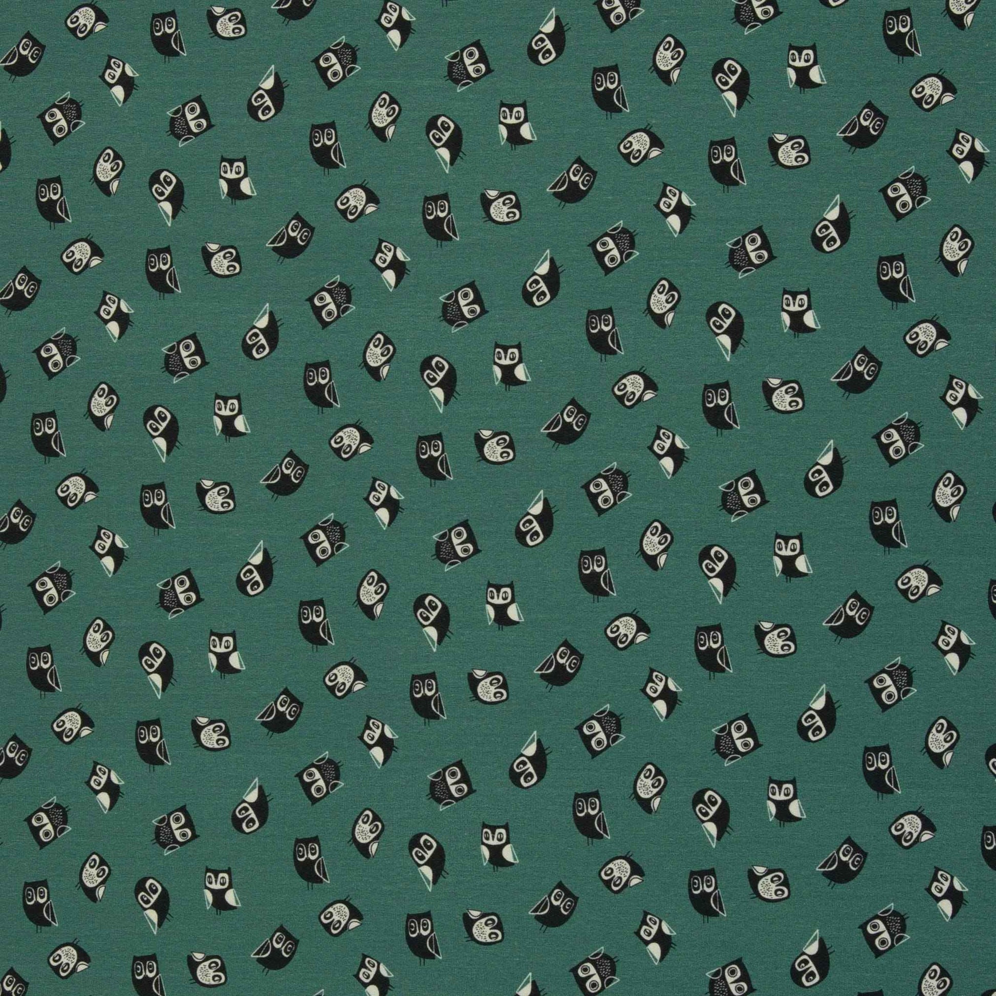 schnubsibu- 082468-100266-woohooowls-jersey-bienvenidocolorido-40 -