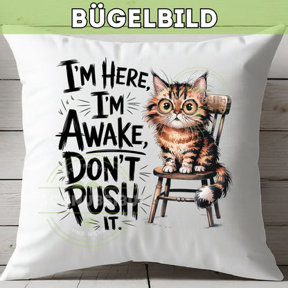 schnubsibu- Buegelbild_Bestand2_121 -