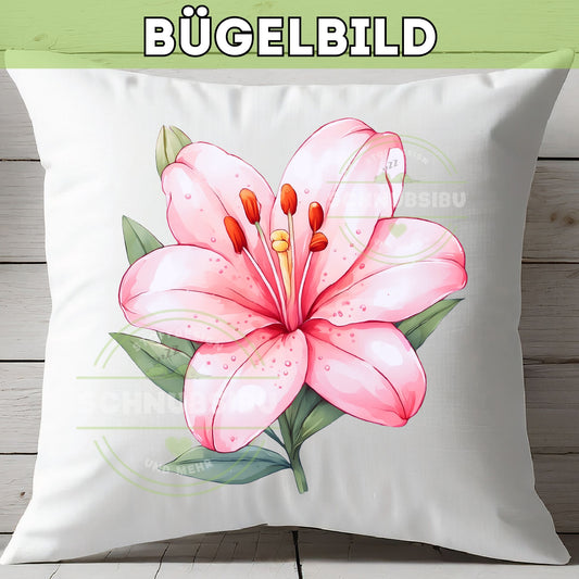 schnubsibu- Buegelbild_Bestand_24 -