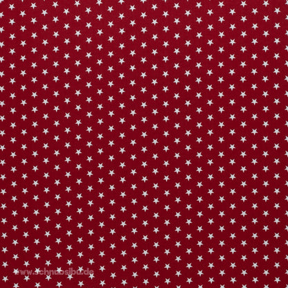 schnubsibu- Produktfoto-BaumwollstoffSterne3 -