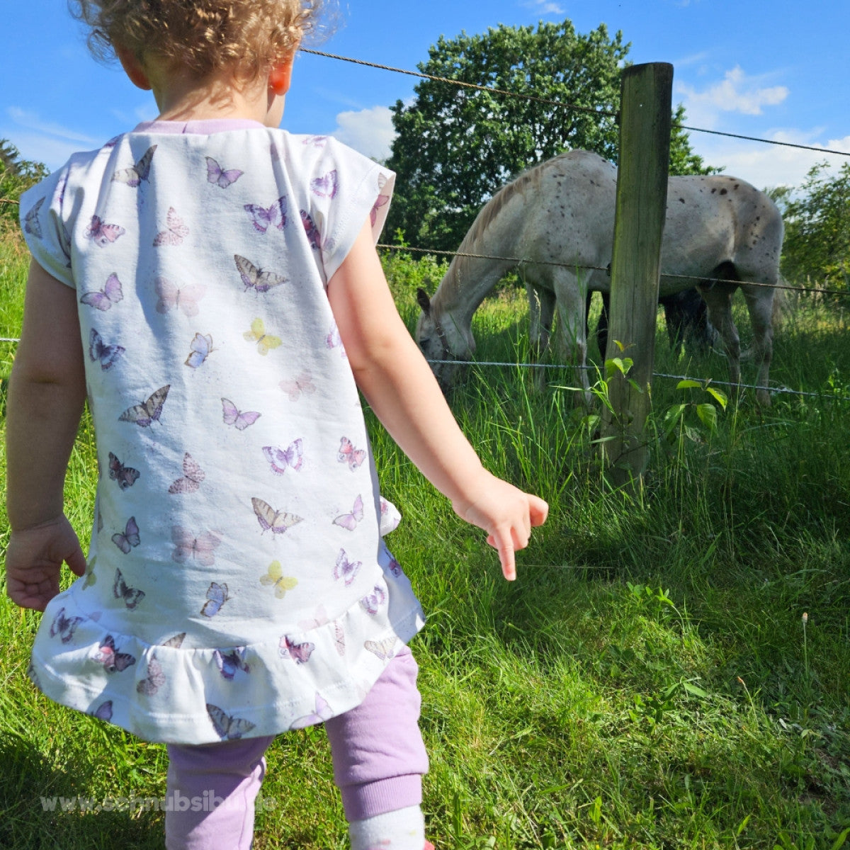 schnubsibu- Produktfoto-WildAnimalsSchmetterlinge3 -