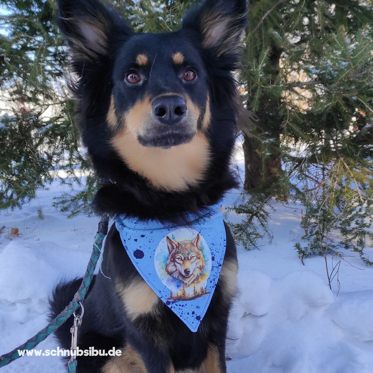 schnubsibu- Produktfoto_-_Fanatsie_Tiere_2 -