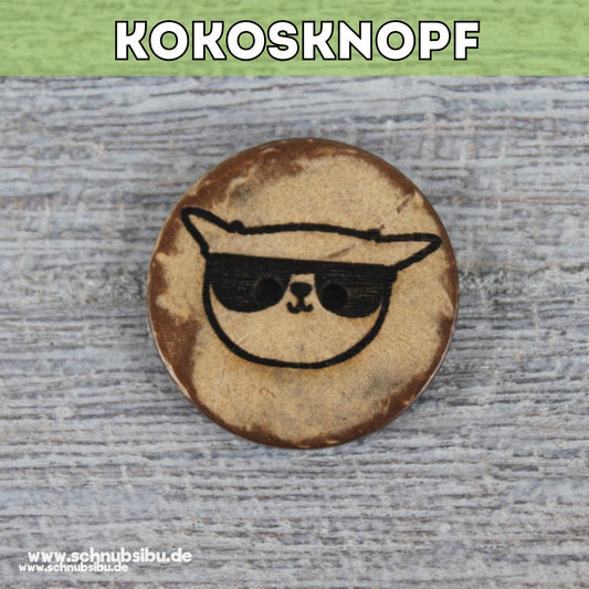 schnubsibu- Titelbild-Kokosknopf-coolekatze -