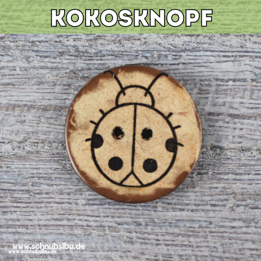 schnubsibu- Titelbild-Kokosknopf-marienkaefer -