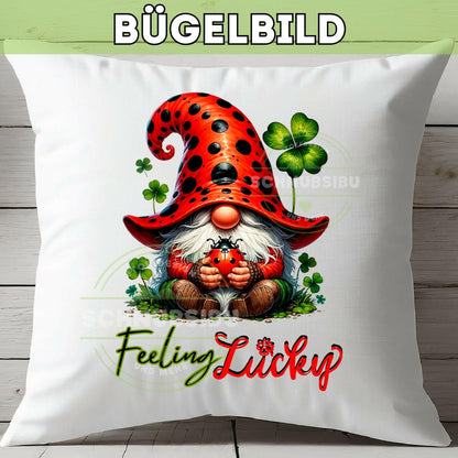 schnubsibu- Titelbild-WichtelLucky -