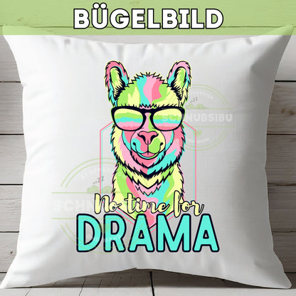 schnubsibu- Titelbild-bb-notimefordrama -