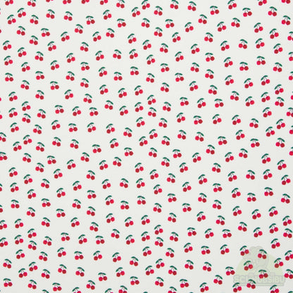 schnubsibu- schnubsibu-produktfoto-ribjersey-geseke-kirschen_2 -